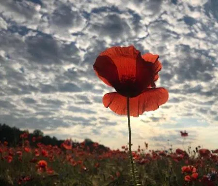 Haus Sturmfried - Sturmraeuber *