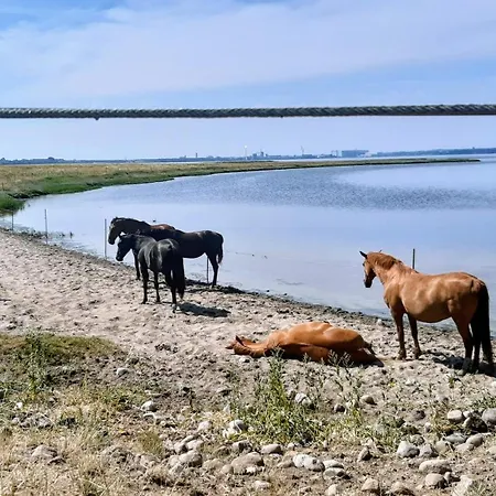 Haus Sturmfried - Sturmraeuber Appartamento *