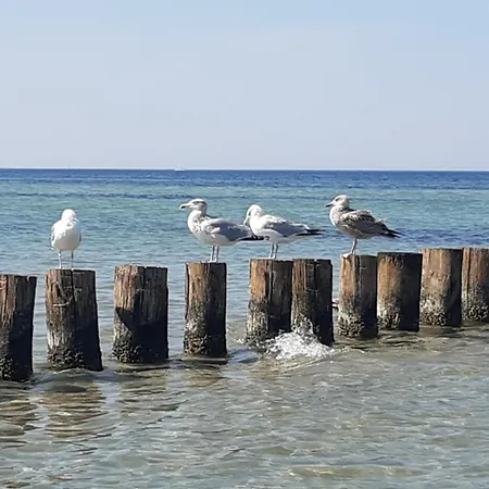 Haus Sturmfried - Sturmraeuber * Insel Poel